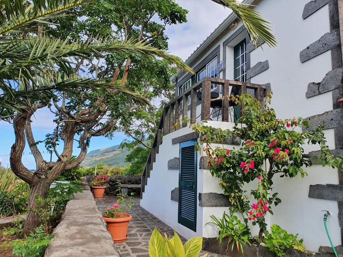 Вилла Casa Do Gato Preto Santo Amaro  Экстерьер фото