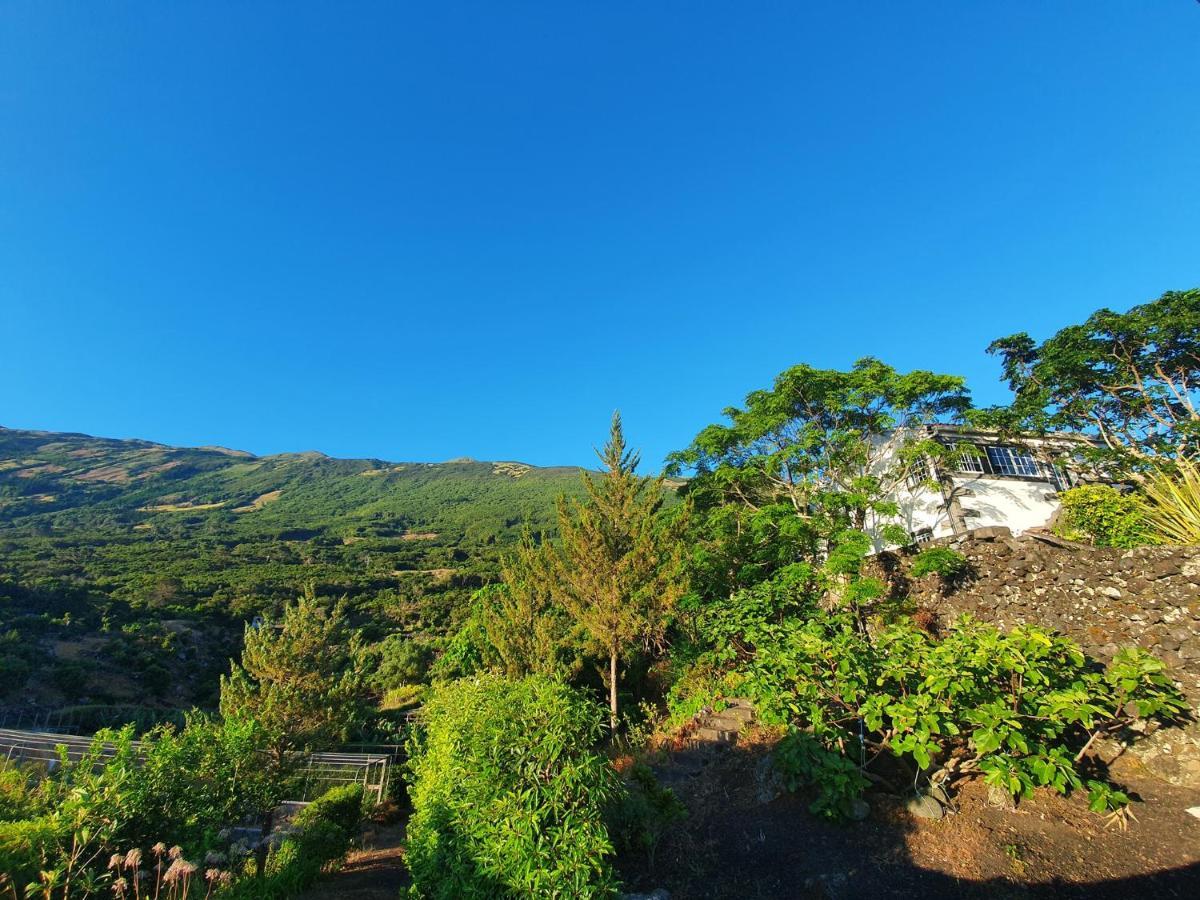 Вилла Casa Do Gato Preto Santo Amaro  Экстерьер фото